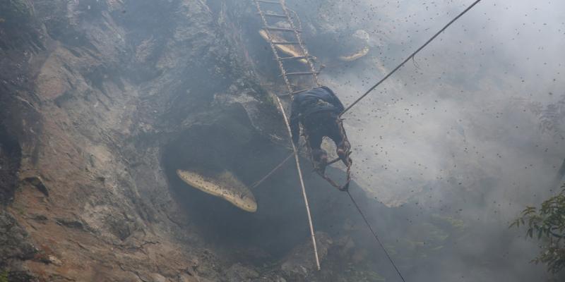 craftmanship-nepal-mad-honey