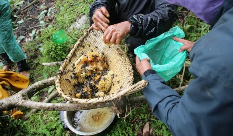 mad-honey-hunting-raw-honey