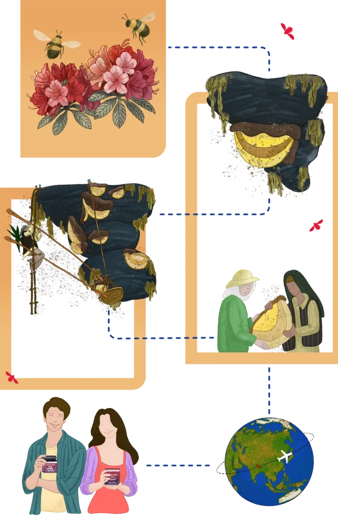 Illustrations02-mobile